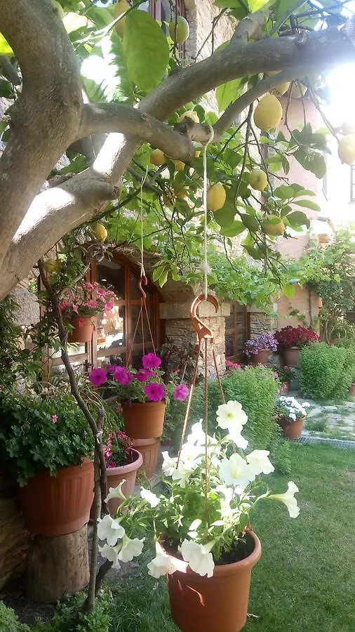 Bed & Breakfast B&B Teresina Villasalto
